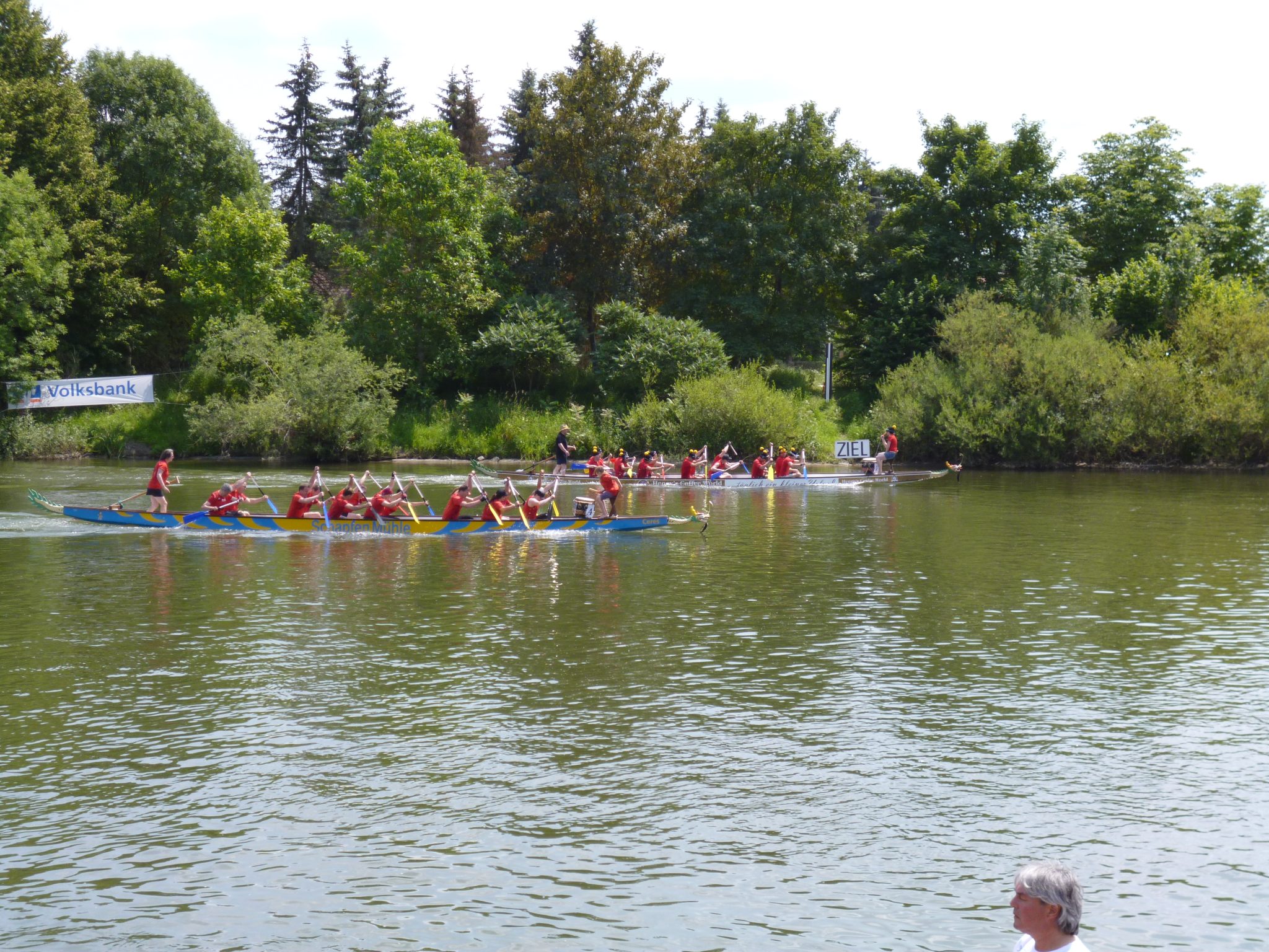 Zieleinlauf beim Drachenbootrennen in Lauingen - Veranstaltungen Bayern