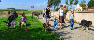 Wandern im Ries mit Olivier, Ralf und Anton, den Hunden - und natürlich mit den Menschen