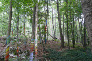 Der Kunstwald soll das Geheimnisvolle des Waldes sichtbar machen