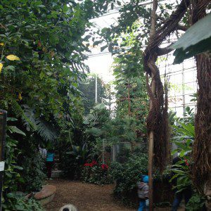 Das schön gepflegte Trophenhaus im Ulmer Tiergarten