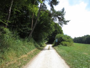 Der Weg in den Wald