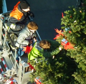 Weihnachtsbaum 25.11.11källner 069