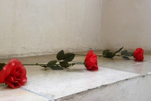 Rosen für Dornröschens 15. Lebensjahr