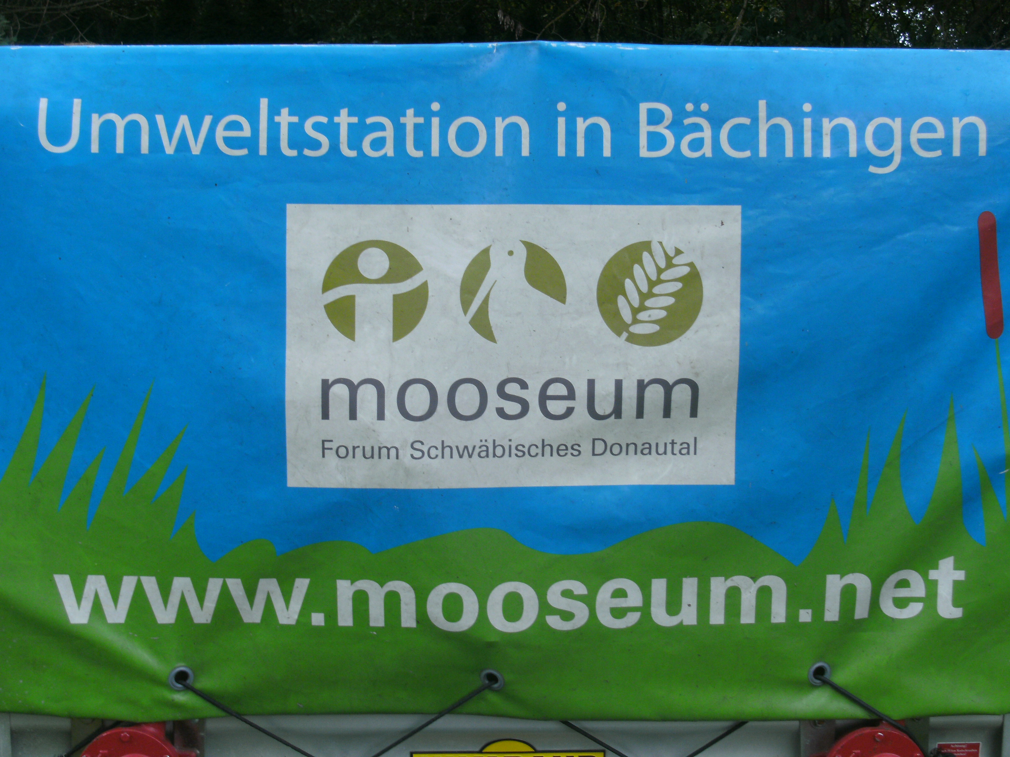 Mooseum Bächingen