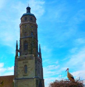 der Storchenblick zum Kirchturm Daniel in Nördlingen