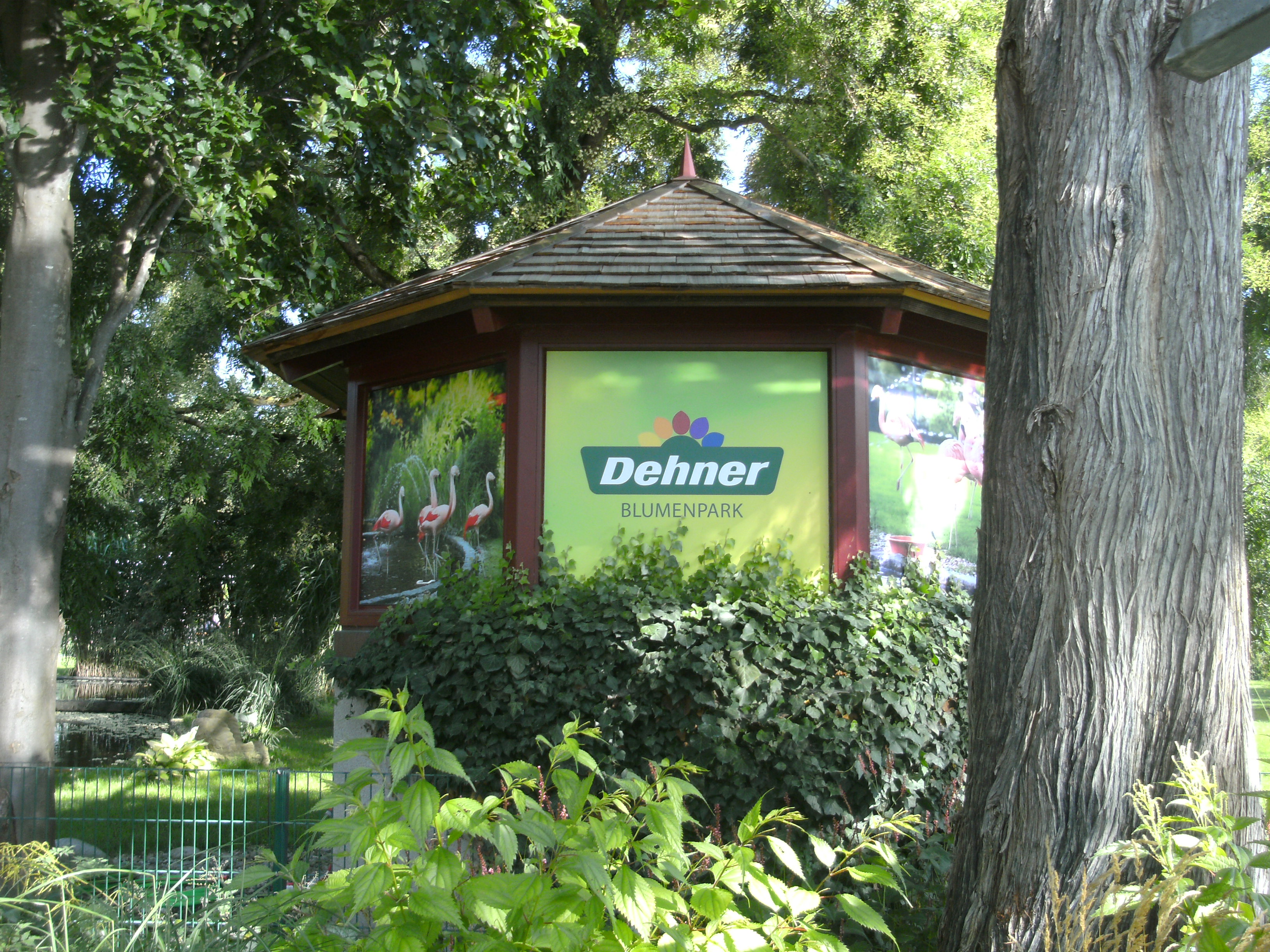 Dehner Blumenpark Rain