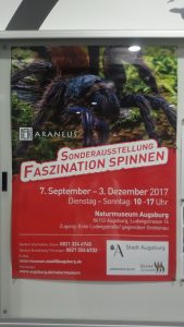 Spinnenausstellung Augsburg