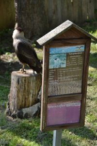 Greifvogelpark Menter