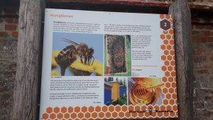 Bienenweg in Illertissen Info über Honigbienen