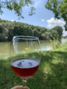Picknick Donauwörth Wein
