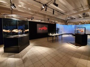 Körperwelten der Tiere Ulm Ausstellung