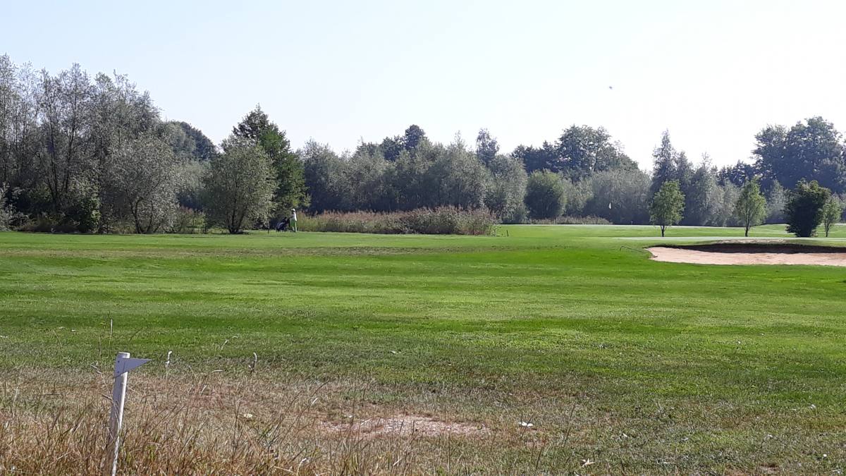 Golfclub Dillingen Golfplatz