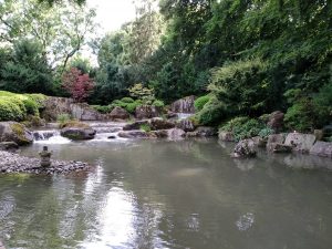 Botanischer Garten Augsburg Japanischer Garten