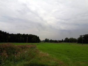 Wald-Spaziergang in Adelsried Wiese