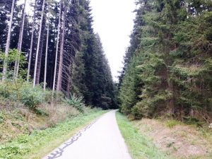 Wald-Spaziergang in Adelsried Waldweg