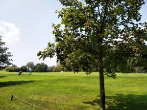 Golfclub Dillingen Golfplatz