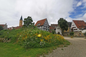 Die Herzogstadt Lauingen ist Ausgangs- und Endpunkt der Tour
