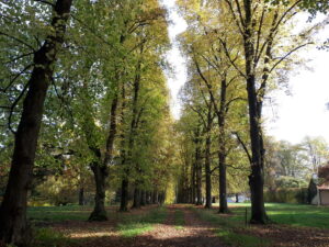 städtische Anlangen Günzburg Herbst Park