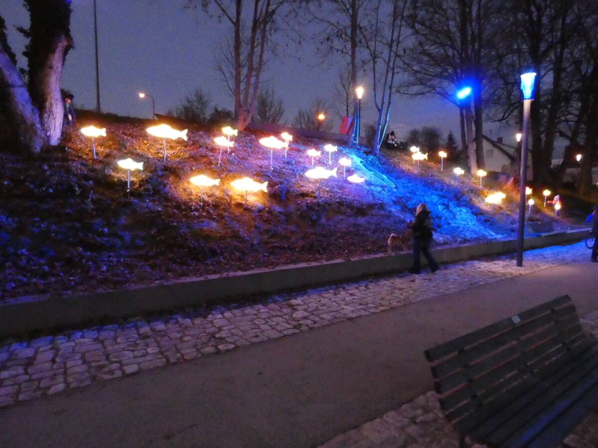 Lichtpark Donauwörth 2020