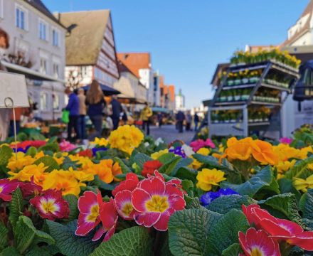 Frühling auf dem Wochenmarkt in Günzburg