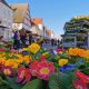 Frühling auf dem Wochenmarkt in Günzburg